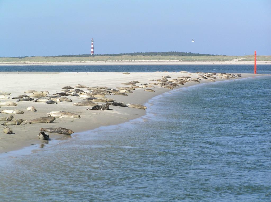 홀륌 Sier Aan Zee 호스텔 외부 사진